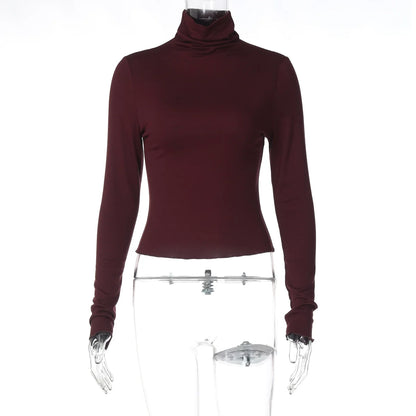 Kylee Slim Fit Turtleneck Top