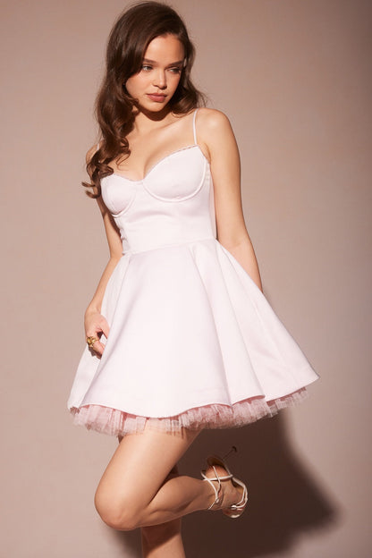 Sweetheart Bustier Lace Trim Tulle Hem Pleated Fit-and-Flare Mini Dress