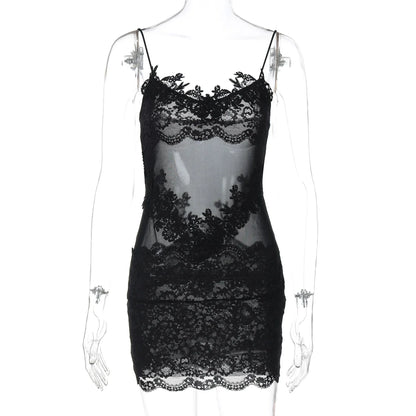 Whitleigh Lace Mesh Mini Dress