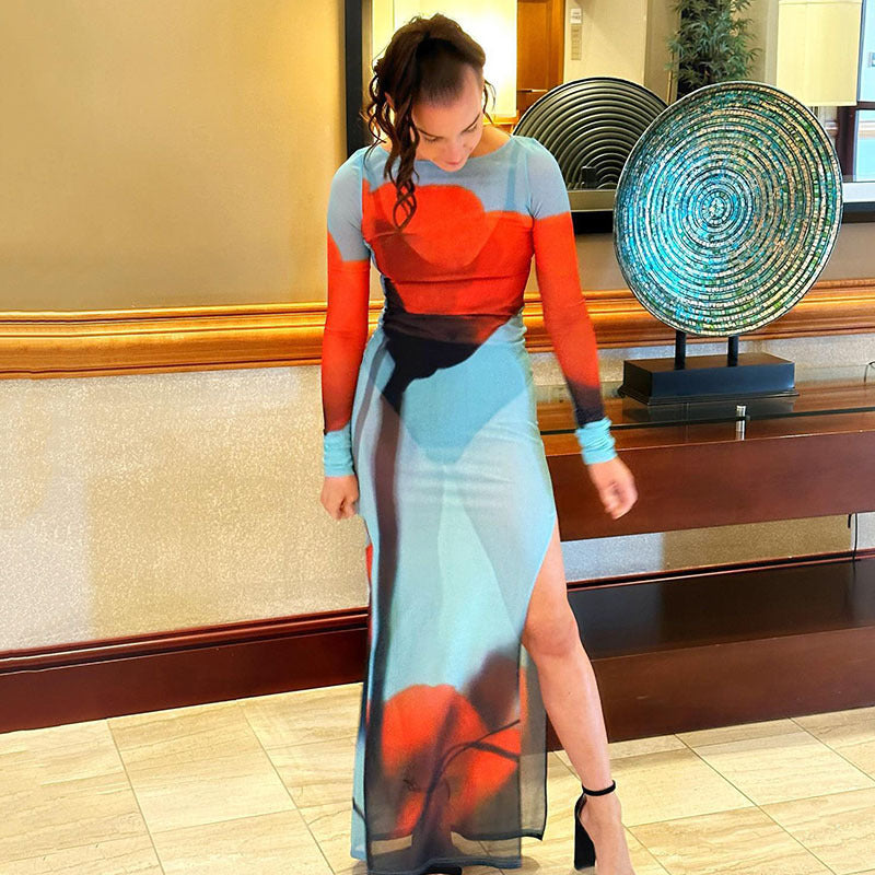 Printed Round Neck Mesh See through Split Dress