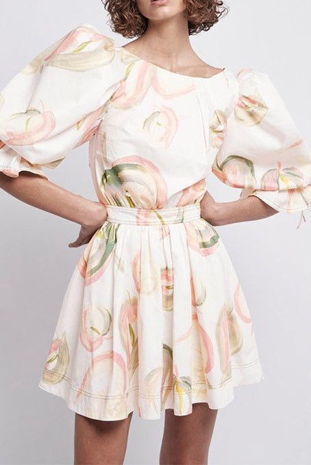 Round Neck Puff Sleeve Ruched Waistband Abstract Floral Print Mini Dress
