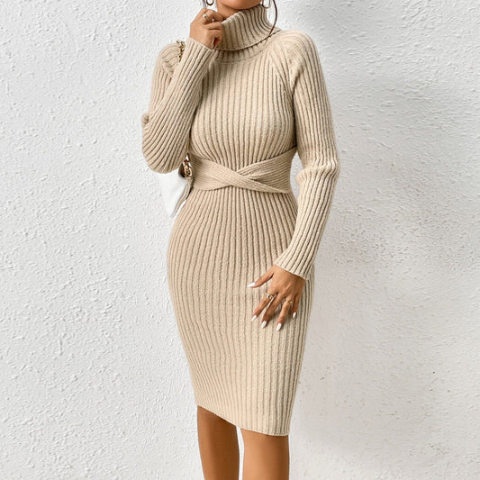 Turtleneck Bodycon Sweater Dress