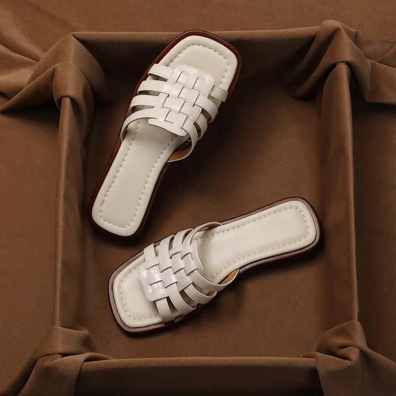 | Slides