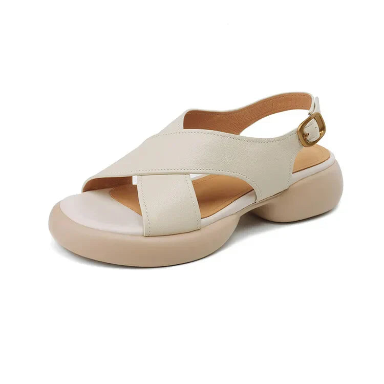 | Soft Crossband Slides