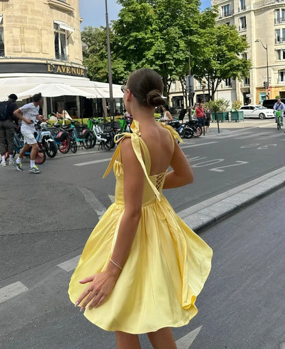 Tie Shoulder Lace Up Back Pleated Skater Mini Dress