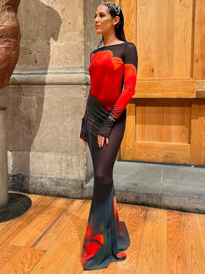 Mesh Sheer Long Sleeve Printed Dress