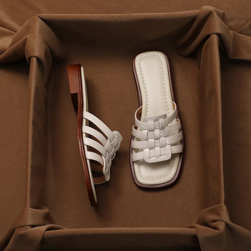 | Slides