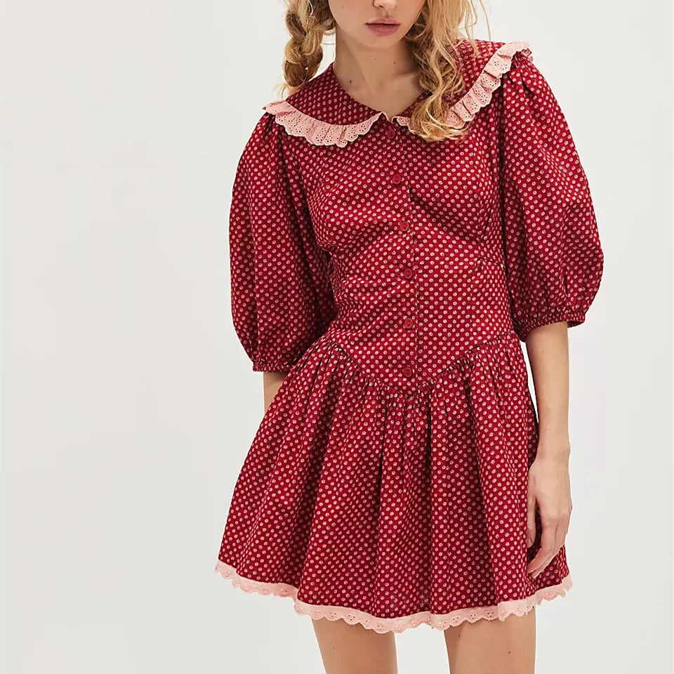 | Lace Collar Mini Dress