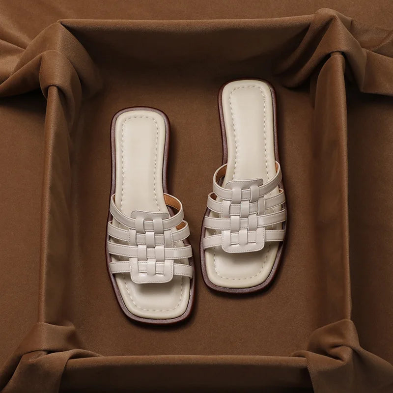| Slides