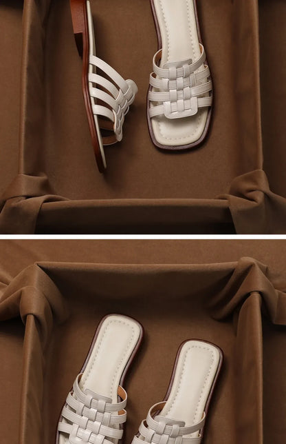 | Slides