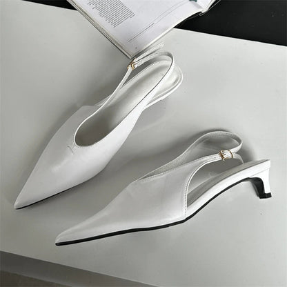 Pointed Toe Buckle Strap Pumps with Thin Low Heels for Women