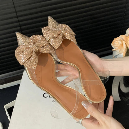 Crystal Bowknot PVC Transparent Women Pumps with Pointed Toe and Low Heels in Champagne Silver