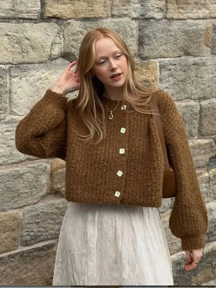 Women Brown Single Breasted Knitwear Fashion Women's O Neck Long Sleeves Loose Casual Sweater Casual New Lady Office Cardigan