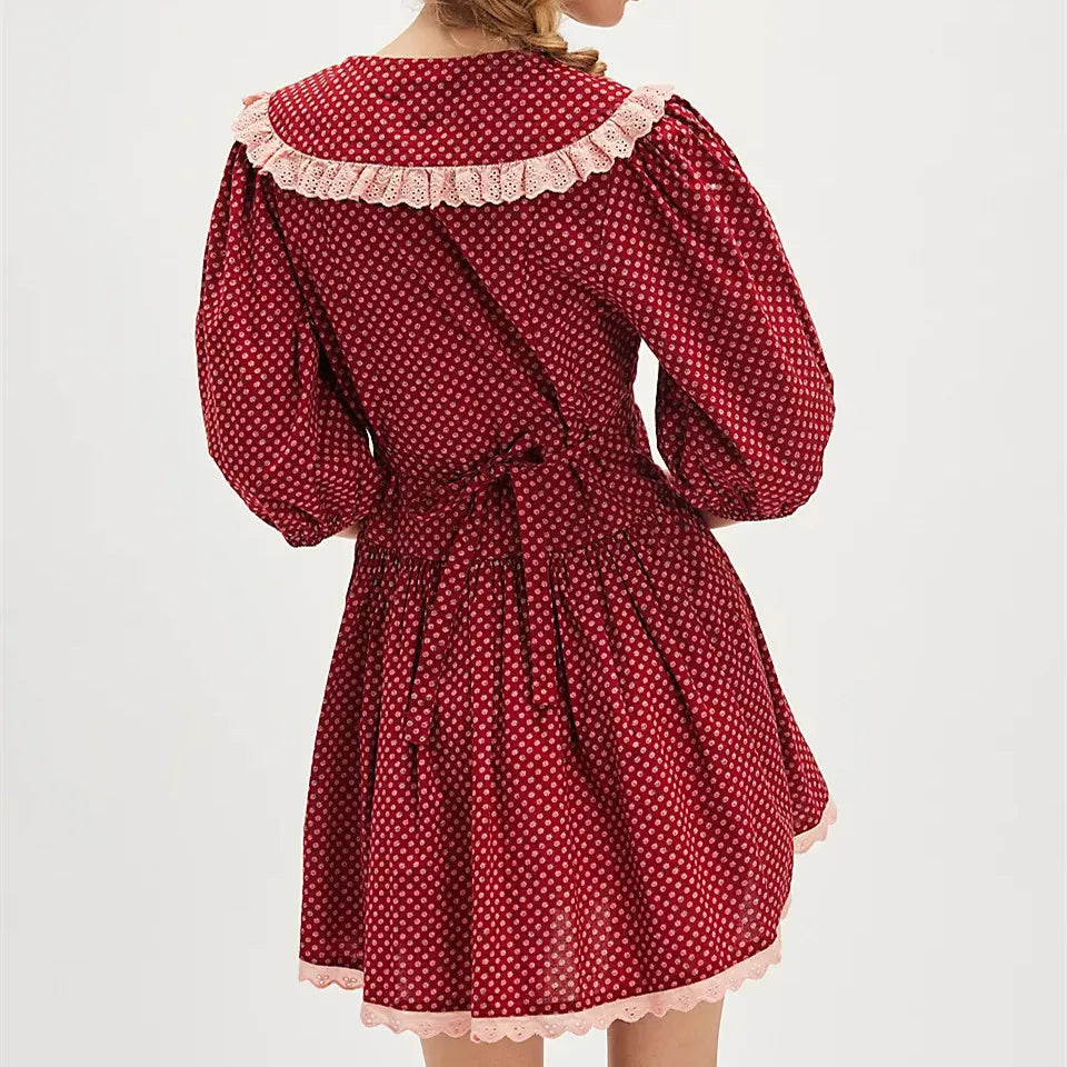 | Lace Collar Mini Dress