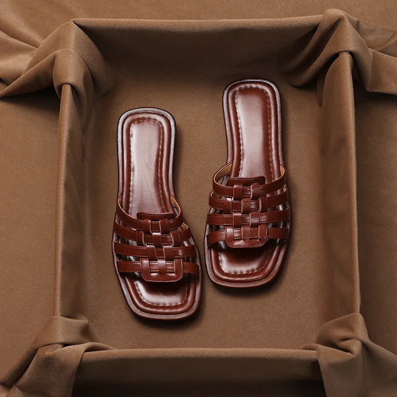 | Slides