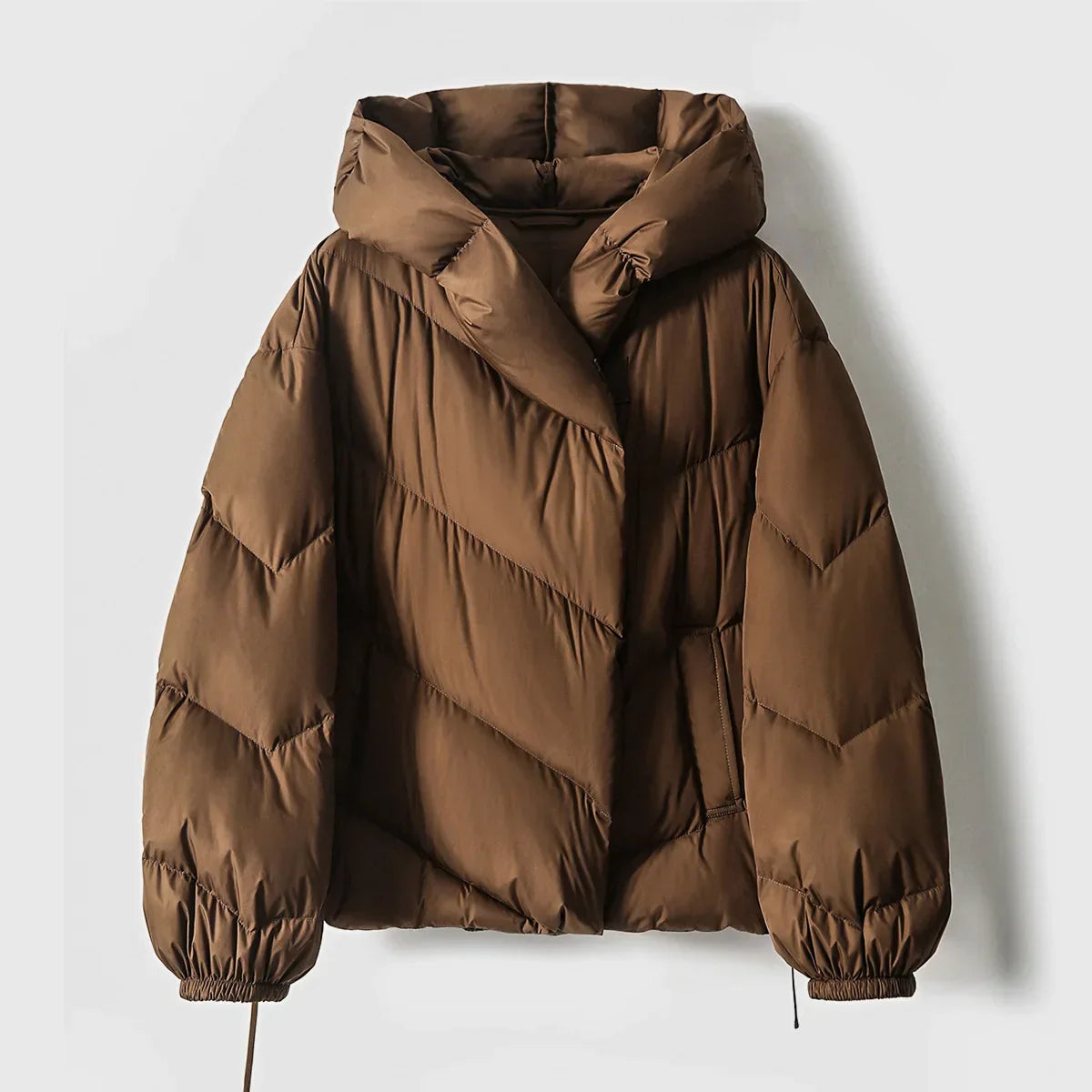 | Classic Hooded Down Puffer