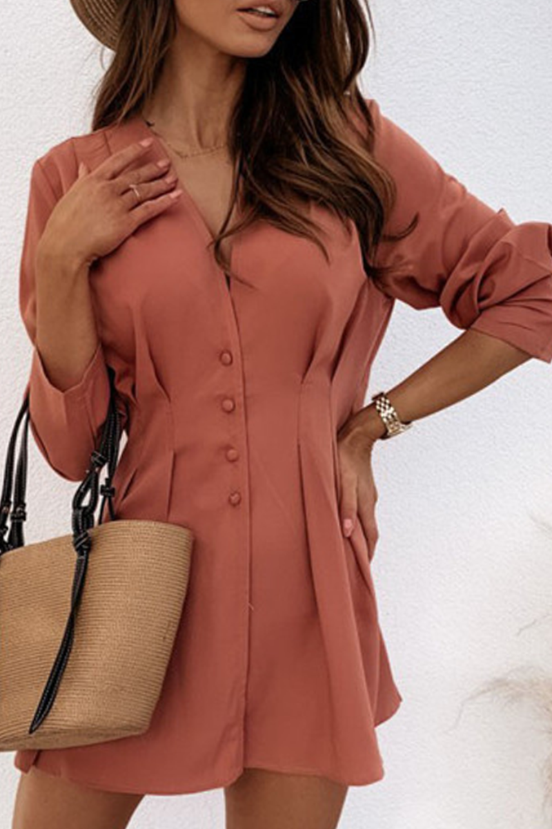 V-Neck Button-Front Pleated Waist Long Sleeve Fit and Flare Mini Dress