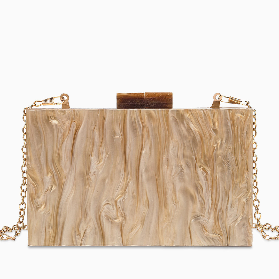 Acrylic Clutch Bag by Arya