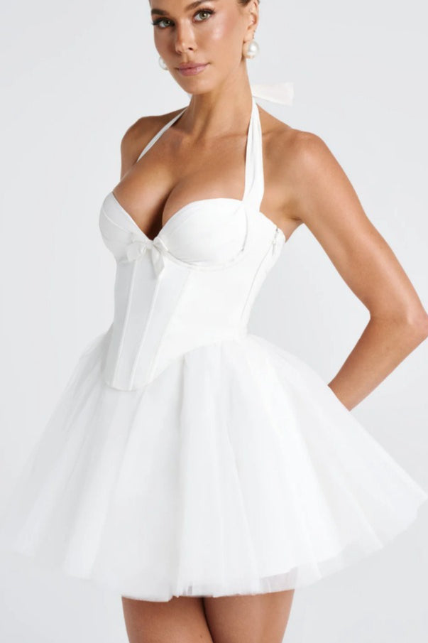 Halter Tie Neck Sweetheart Boned Corset Tulle Tutu Mini Dress