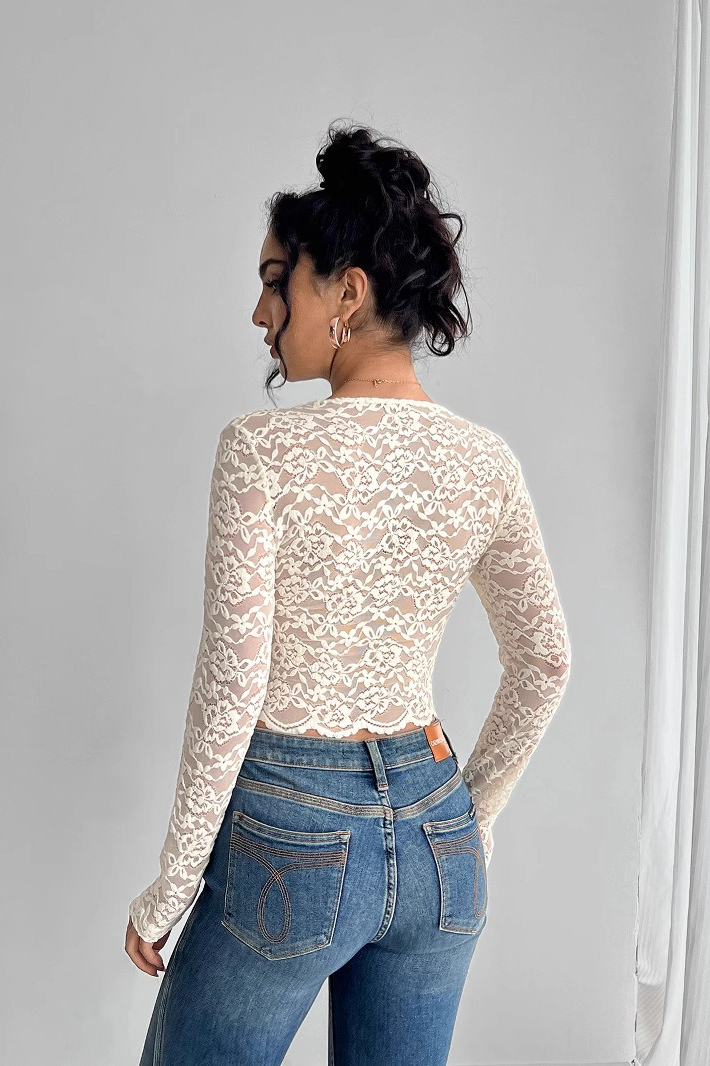 Solid Lace V Neck Sexy Long Sleeve Chic Crop Top
