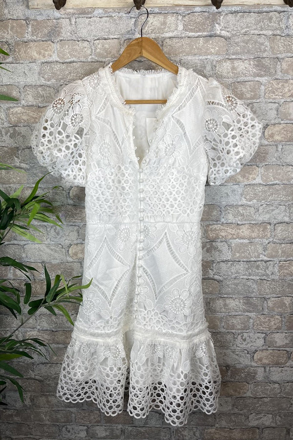 Crochet Lace Collared V-Neck Puff Sleeve Button-Front Tiered Mini Dress