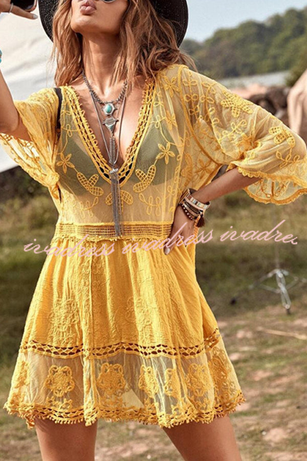 Lace V Neck Hollow Short Sleeved Cover Up