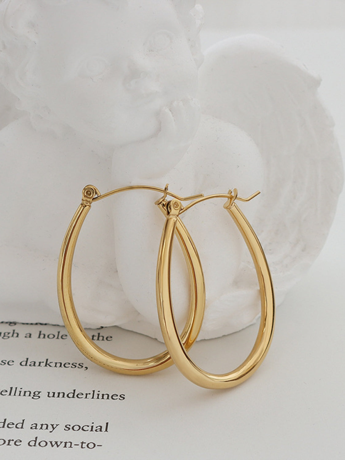 Titanium Steel Plated Earrings