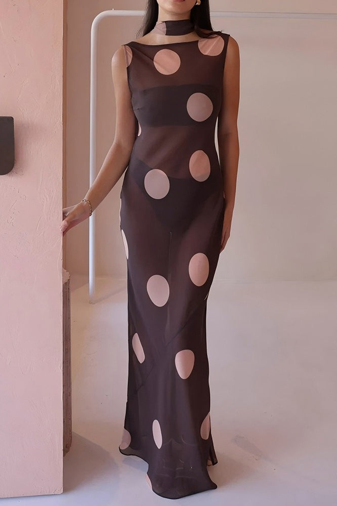 Polka Dot Sheer Mesh Boat Neck Scarf Detail Column Maxi Dress