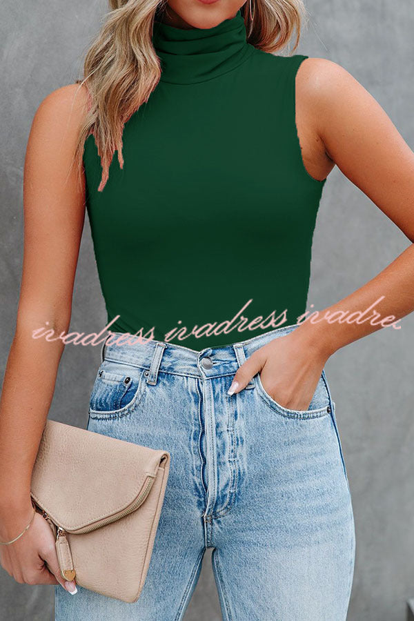 Dressed To The Nines seamless turtleneck top