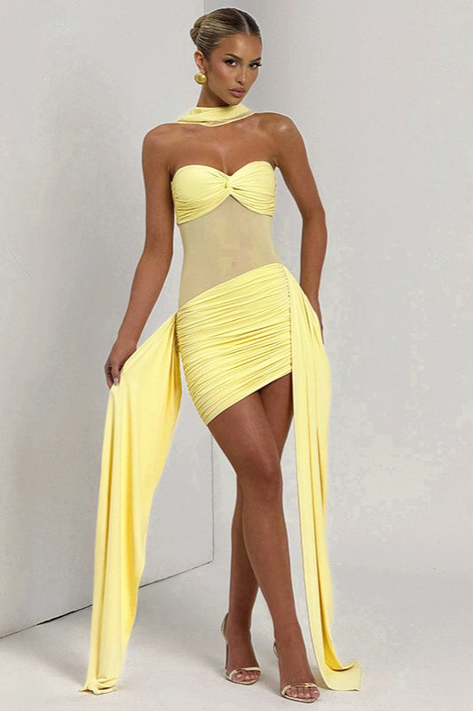 Sexy Bustier Backless Ruched Mesh Bodycon Dress