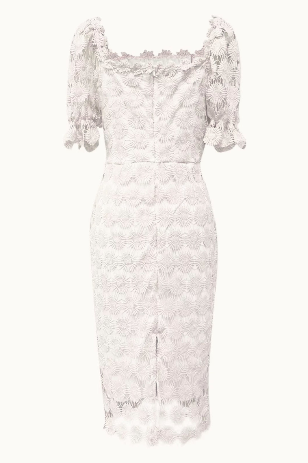 Floral Lace Square Neck Puff Sleeve Scalloped Hem Bodycon Midi Dress