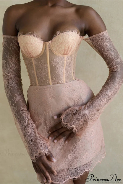 Elegant Sexy Lace Sheer Party Dress
