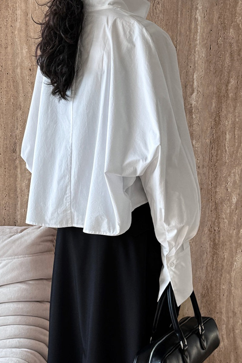 Stand Collar Deep V Layering Blouse