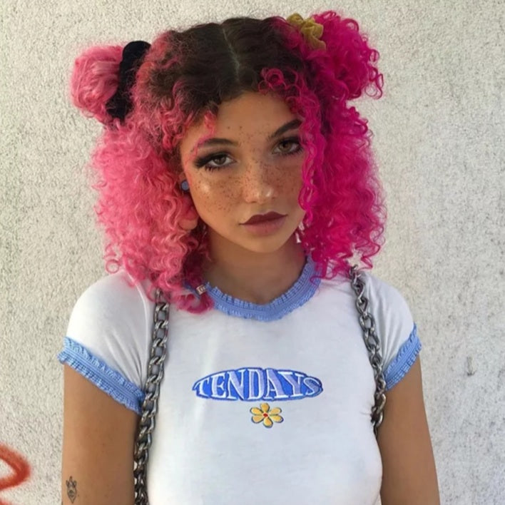 Cute Blue Lace Letter Embroidery Floral Print Short Sleeve Shirt Crop Top Aesthetic Casual Summer E-Girl Kawaii Korean Japanese Harajuku Streetwear