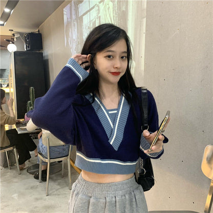 Panelled V Neck Cropped Loose Long Sleeve Jumper