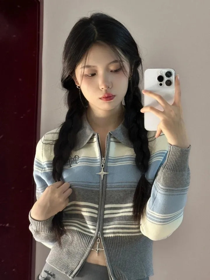 Striped Zipper Knit Cropped Jumper