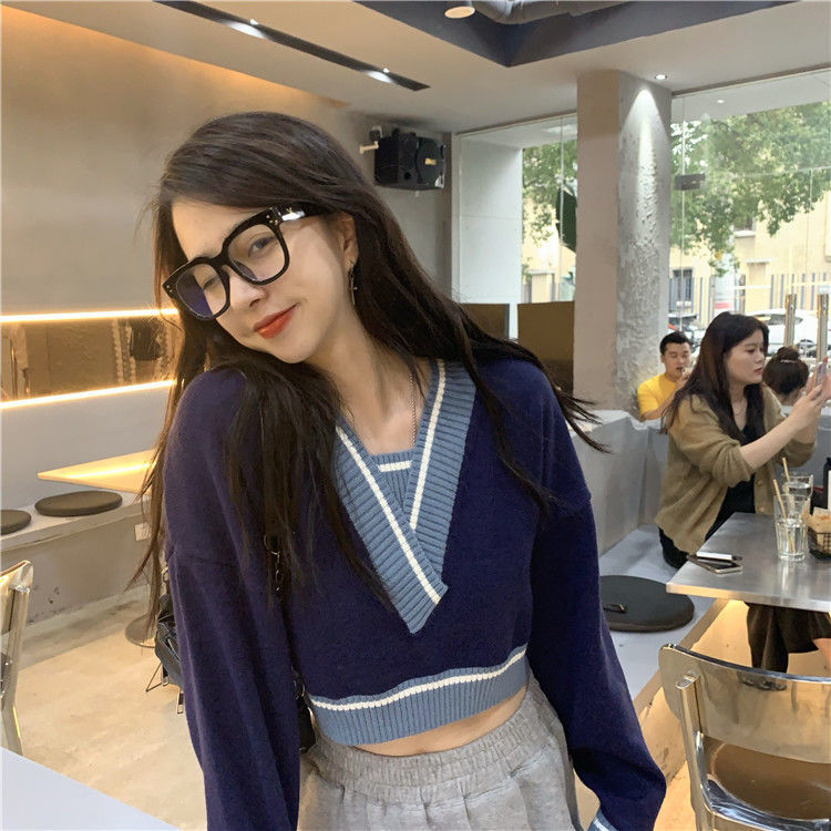Panelled V Neck Cropped Loose Long Sleeve Jumper