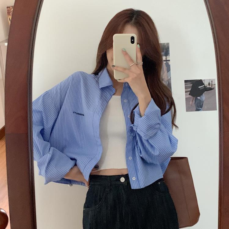 Blue Stripe Cropped Long Sleeve Shirt