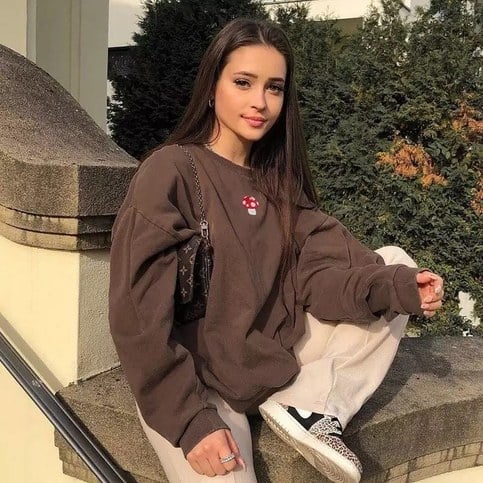 Cute Brown Mushroom Embroidery 90s Vintage Crew Neck Sweater Sweatshirt Hoodie Long Sleeve Aesthetic E-Girl Kawaii Korean Japanese Harajuku Streetwear