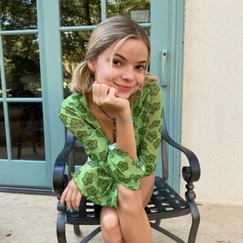 Cute Sexy Vintage 90s Green Flower Lantern Bell Sleeve Long Sleeve Shirt Crop Top Mesh Aesthetic E-Girl Kawaii Korean Japanese Harajuku Streetwear