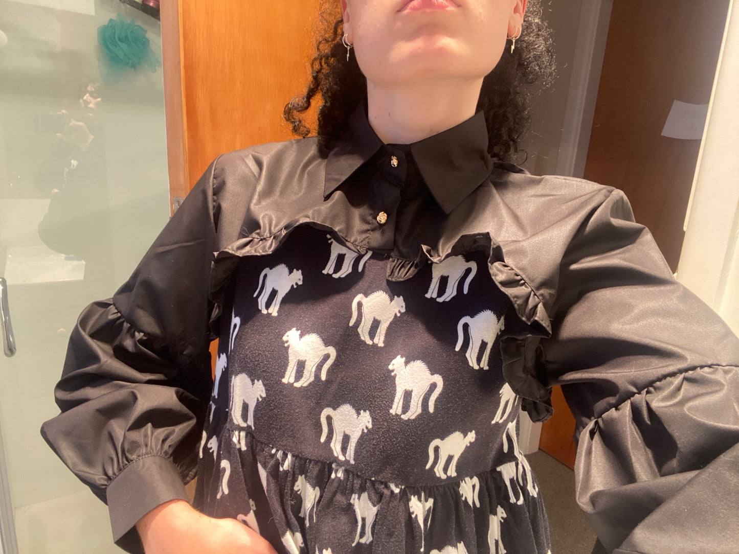 Puff Ruffle Collar Long Sleeve Blouse