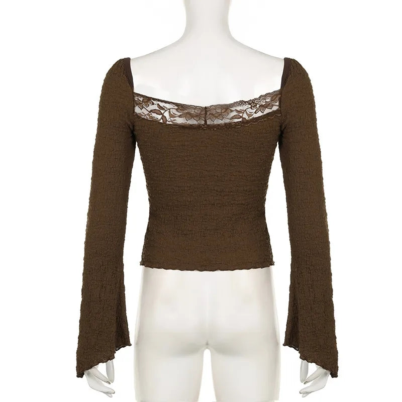 Brown Lace Trim V Neck Flare Long Sleeve Top