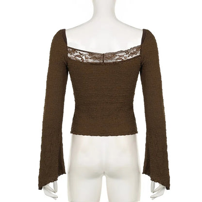 Brown Lace Trim V Neck Flare Long Sleeve Top