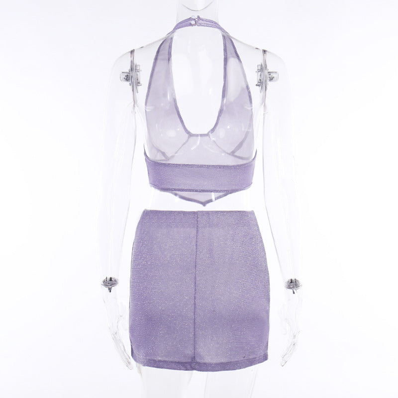 2PCS Purple Shimmer V Neck Dress