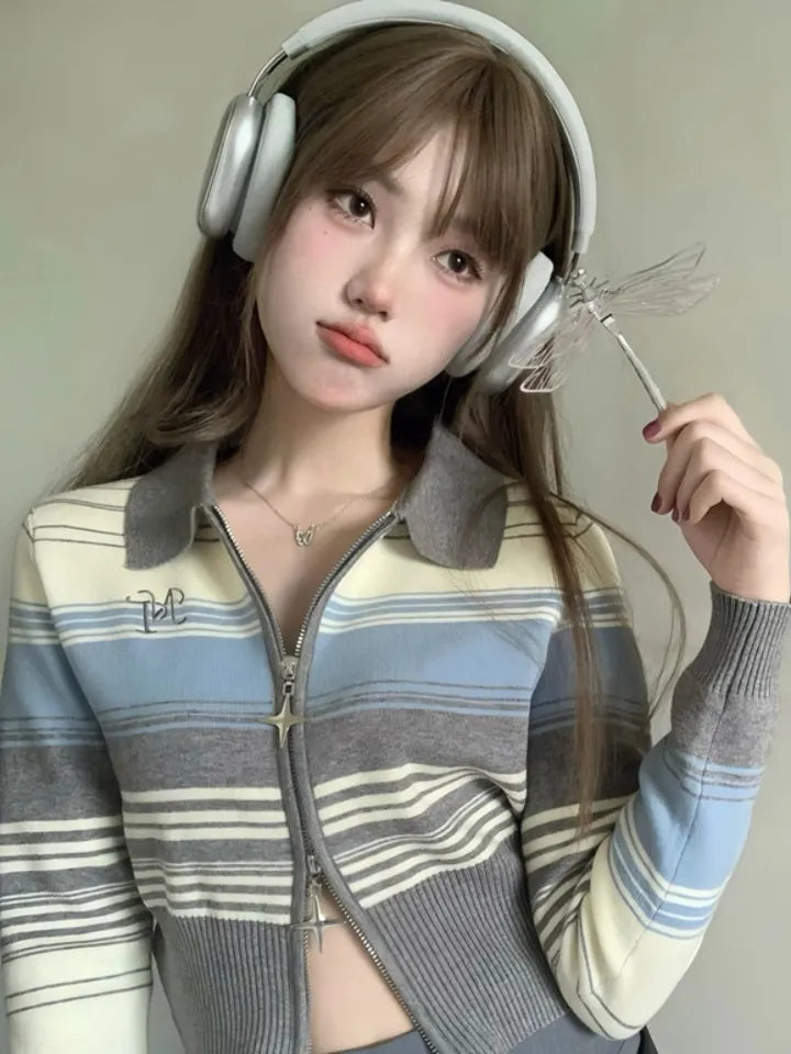 Striped Zipper Knit Cropped Jumper
