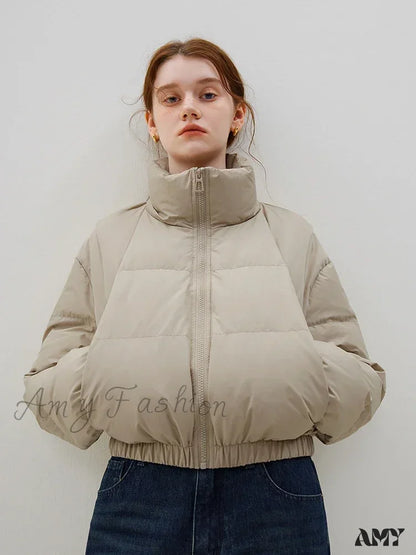 Filling Capacity Korean Style Casual Short Down Stand Collar Commuter Coat