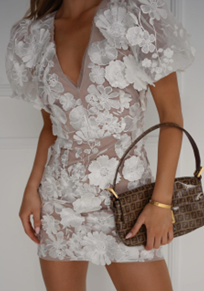 V Neck Puff Sleeve 3D Floral Appliqué Mesh Overlay Mini Dress