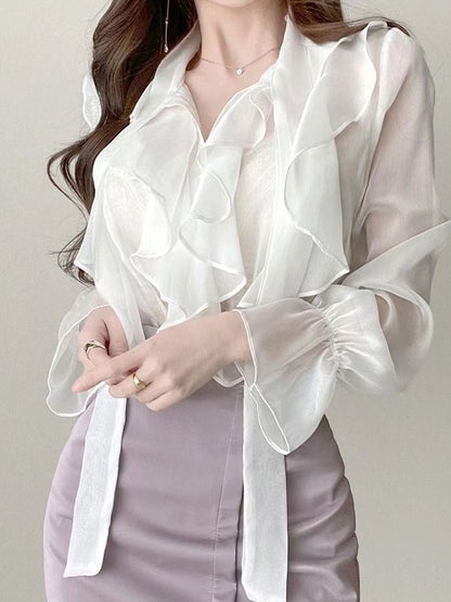 Ruffle Semi Sheer Long Sleeve Blouse