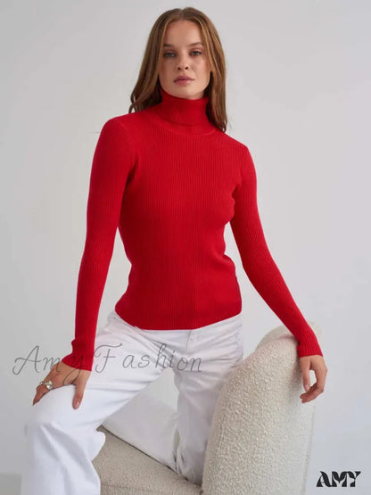Long Sleeves Mock Turtleneck Basic Stretch Fitting Slim Sweater