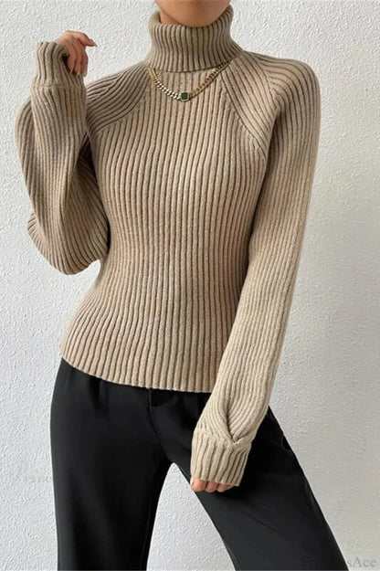 Loose Turtleneck Raglan Sleeve Sweater